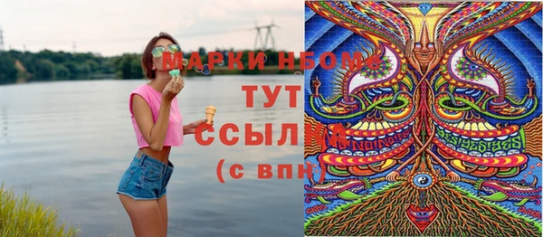 гашик Верея