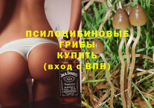 гашик Верея