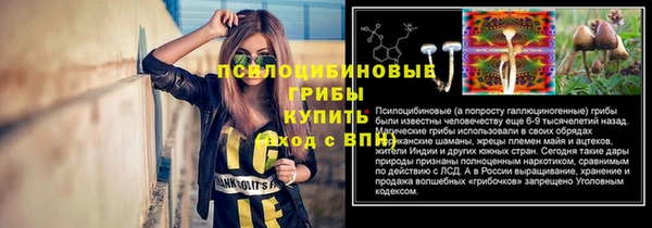 гашик Верея