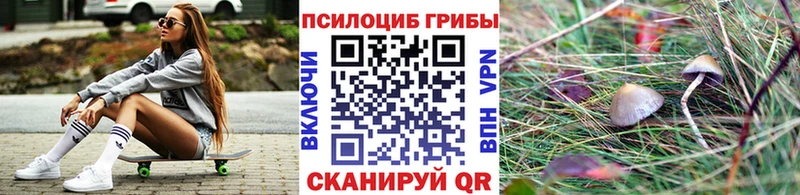 Галлюциногенные грибы Cubensis  Купить где  Навашино 